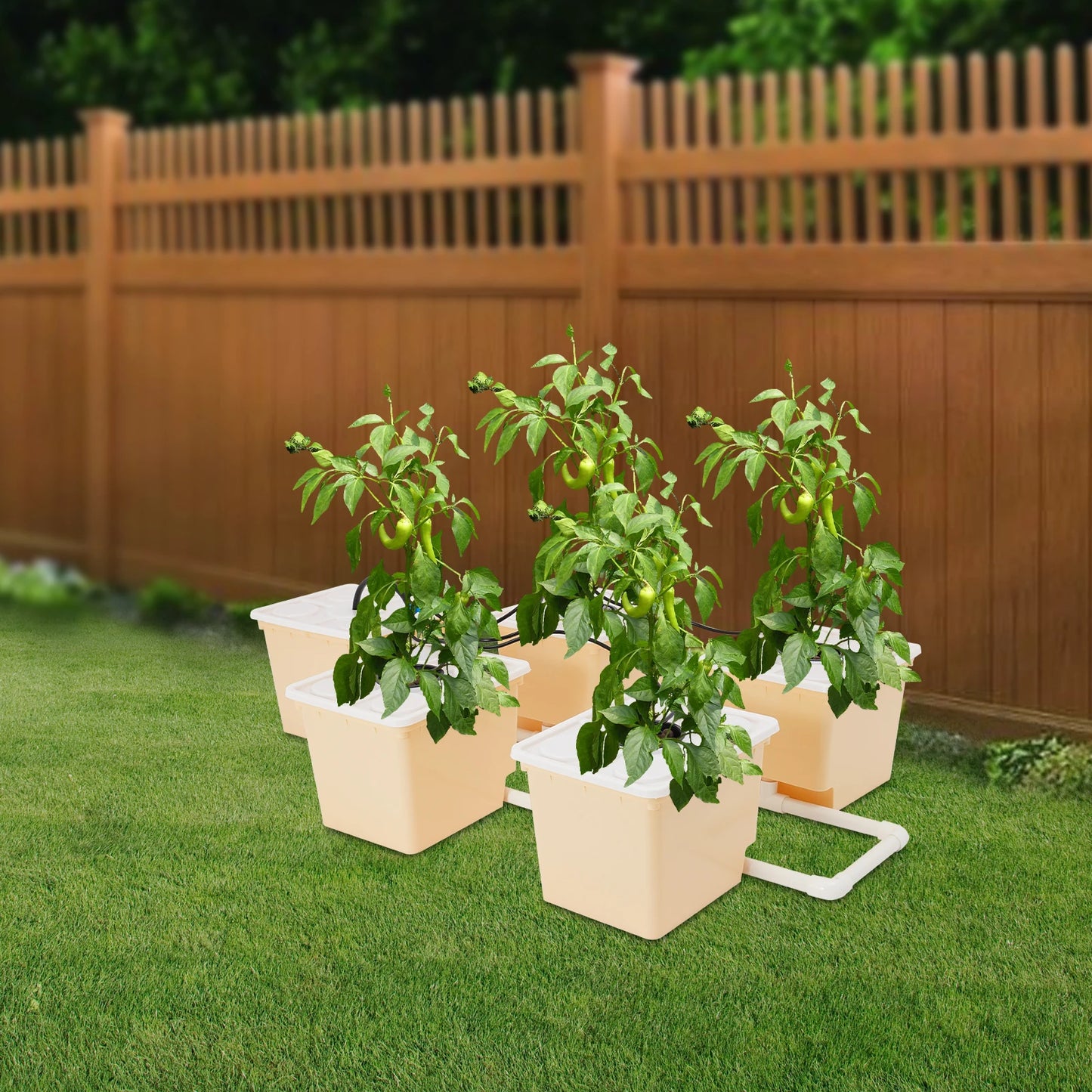 Bymaocar 5-Box Deep Water Culture Hydroponics Growing Kit 11L Large Dutch Bucket Drip Growing System for Indoor & Outdoor W/ Lid