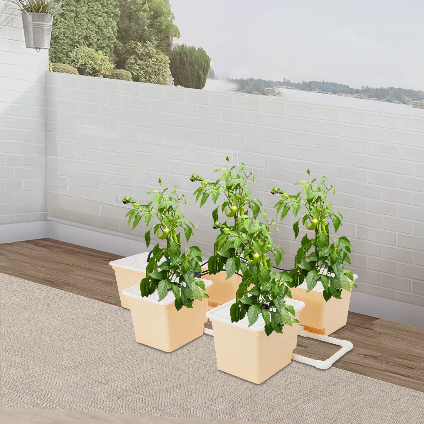 Bymaocar 5-Box Deep Water Culture Hydroponics Growing Kit 11L Large Dutch Bucket Drip Growing System for Indoor & Outdoor W/ Lid