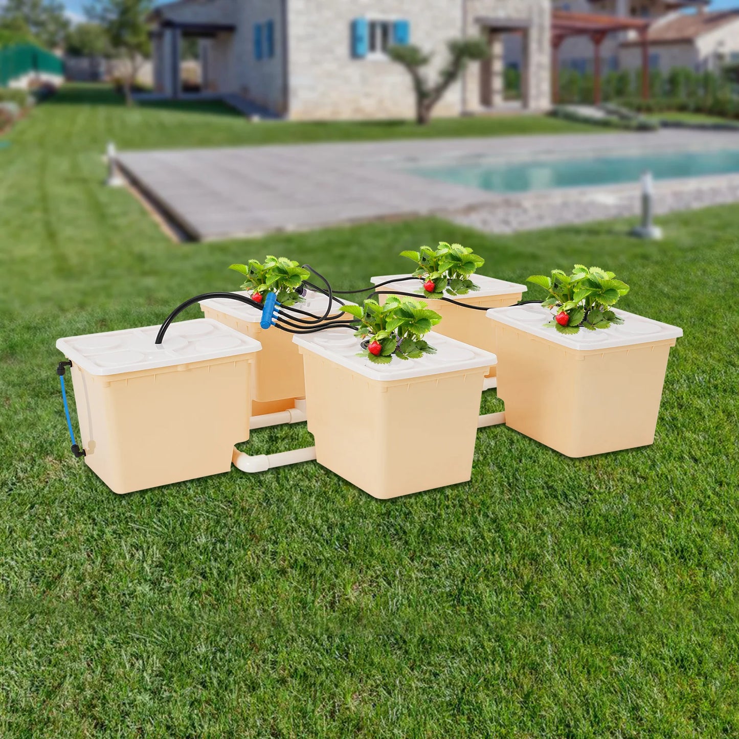 Bymaocar 5-Box Deep Water Culture Hydroponics Growing Kit 11L Large Dutch Bucket Drip Growing System for Indoor & Outdoor W/ Lid