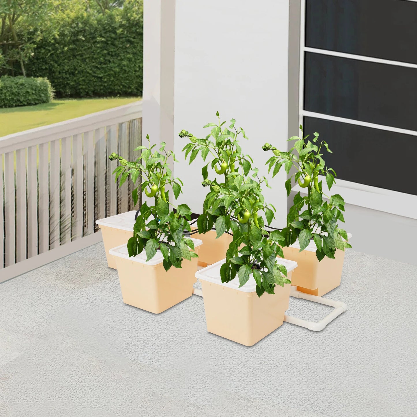 Bymaocar 5-Box Deep Water Culture Hydroponics Growing Kit 11L Large Dutch Bucket Drip Growing System for Indoor & Outdoor W/ Lid