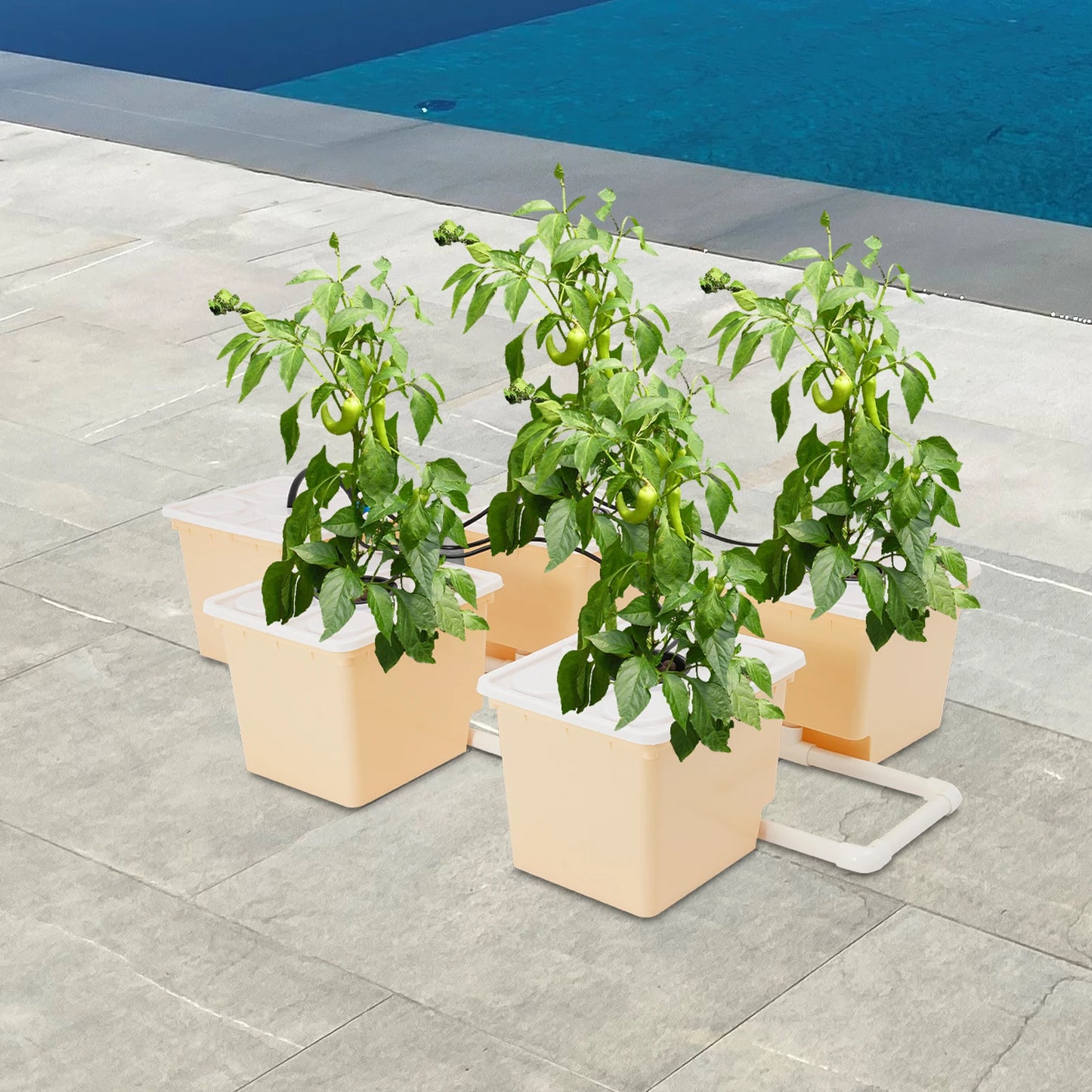 Bymaocar 5-Box Deep Water Culture Hydroponics Growing Kit 11L Large Dutch Bucket Drip Growing System for Indoor & Outdoor W/ Lid
